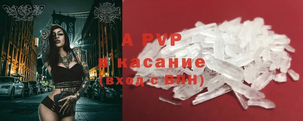 амф Гусев