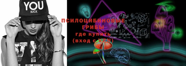 ГАЛЛЮЦИНОГЕННЫЕ ГРИБЫ Гусиноозёрск