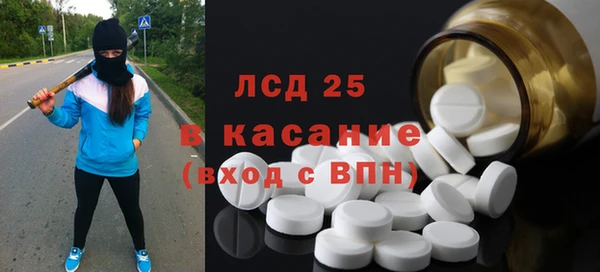 амф Гусев