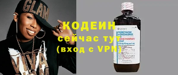 амф Гусев