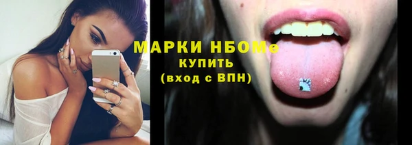 амф Гусев