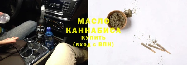 амф Гусев