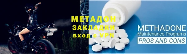 амф Гусев