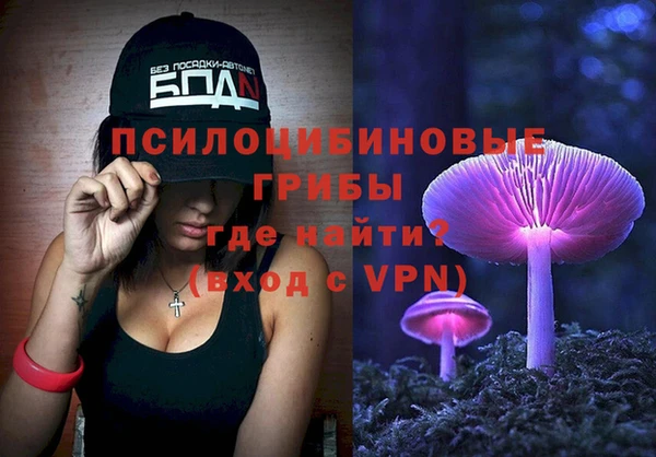 амф Гусев