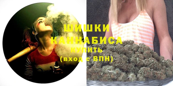 амф Гусев