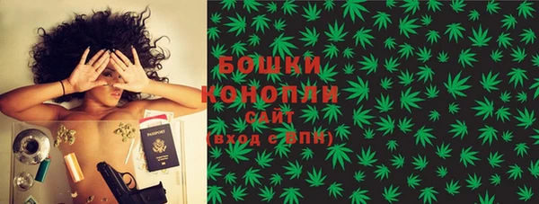 амф Гусев