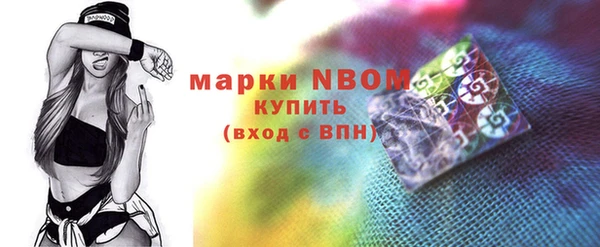 амф Гусев