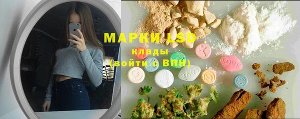 амф Гусев