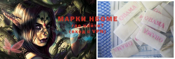 амф Гусев
