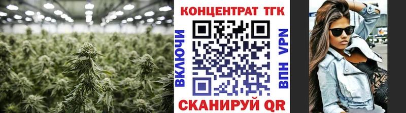 ТГК вейп Западная Двина
